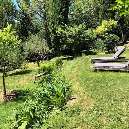 Le Tapis Vert - Loft Avec Jardin Auch Esterno foto
